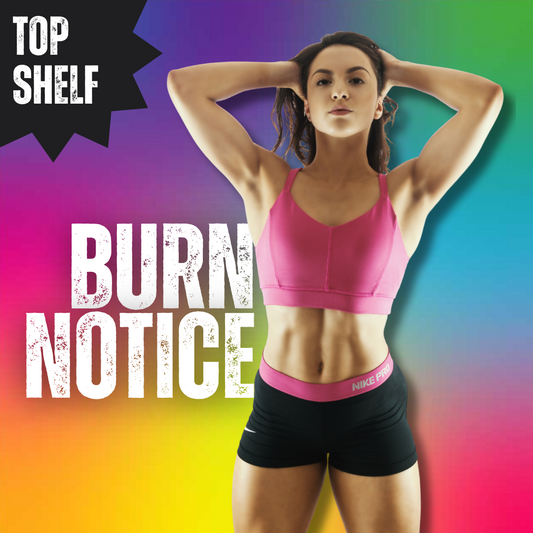 BURN NOTICE